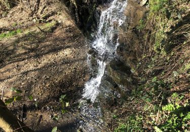 Trail Walking Sprimont - Cascade de CHANXHE 11Km - Photo
