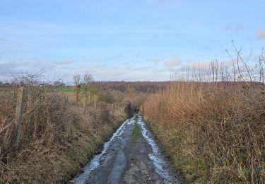 Trail Walking Herve - A la découverte de Bolland 🥾 - Photo