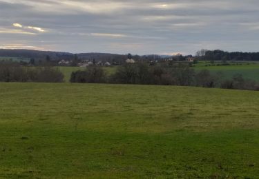 Randonnée Marche Boult - Boult - Photo