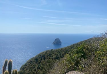 Percorso Marcia Le Diamant - Morne Larcher  - Photo