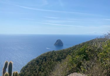 Tour Wandern Le Diamant - Morne Larcher  - Photo