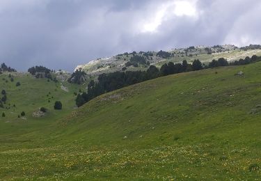 Trail Walking Châtillon-en-Diois - la Montagnette par le Grand Pas - Photo