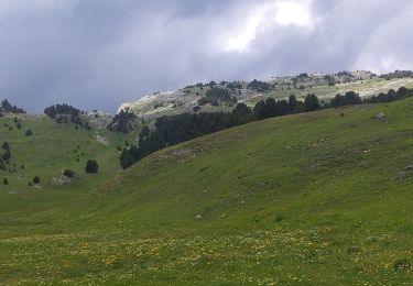 Percorso Marcia Châtillon-en-Diois - la Montagnette par le Grand Pas - Photo