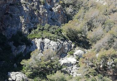 Trail Canoe - kayak Almuñécar - Cuevas Piratas y de Las Palomas - Photo