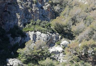 Excursión Piragüismo Almuñécar - Cuevas Piratas y de Las Palomas - Photo