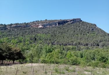 Trail Walking Mollans-sur-Ouvèze - mollans sur ouveze - Photo