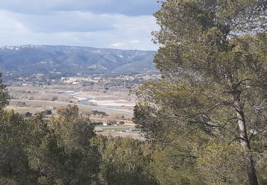 Randonnée Marche La Roque-d'Anthéron - Chaîne des Côtes La Roque d'Anthéron - Photo