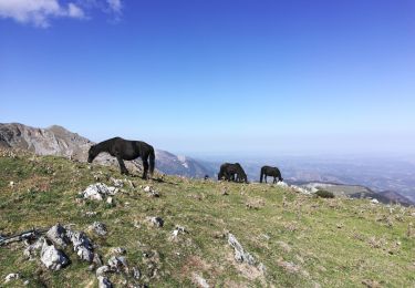 Tour Wandern Beyrède-Jumet-Camous - signal de Bassia, Plo de Berdaoulou - Photo