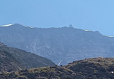 Tour Wandern Saint-Gervais-les-Bains - Glacier de Bionnassay 14.7.22 - Photo