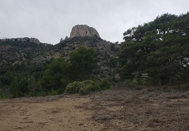 Percorso Marcia Plan-d'Aups-Sainte-Baume - Tour Cauvin, dents de Roque forcade ,Grande baume - Photo