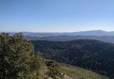 Tocht Stappen Le Val - Le Cuit - Photo