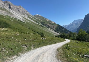 Trail Walking Pralognan-la-Vanoise - Pralognan - lac blanc  - Photo