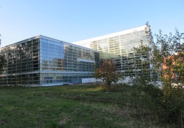 Tour Zu Fuß Helsinki - Maunulan luontopolku - Photo