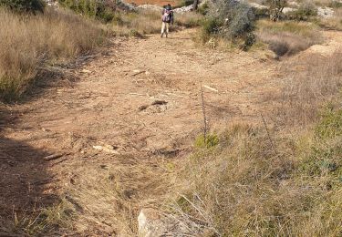 Trail Walking Martigues - blockaus - Photo