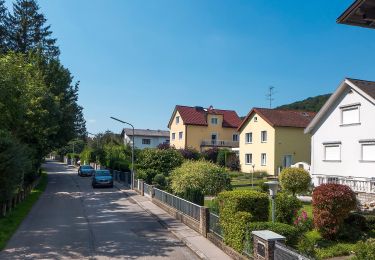 Tour Zu Fuß Gemeinde Mauerbach - 2 - Photo