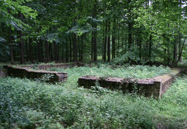 Excursión A pie Groß-Umstadt - Rundwanderweg Breuberg 1 : - Photo