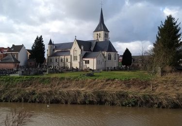 Randonnée Marche Kampenhout - Steenokkerzeel - Eppegem 2020 02 11 Groene Gordel 6 - Photo