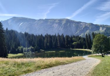 Trail Walking Morzine - 74-Morzine-lac-mines-or-col-Coux-6.7km-515m - Photo