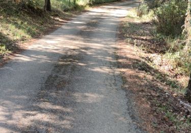 Trail Walking Tourrettes - z Tourrettes 28-09-21 - Photo