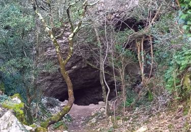 Tocht Stappen Méjannes-le-Clap - Dent du Serret - Photo