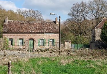 Randonnée Vélo de route Paron - 132 N65 Michery-01 - Photo