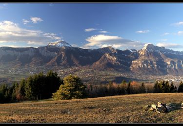 Trail Walking Saint-Jean-le-Vieux - La Poya - Photo