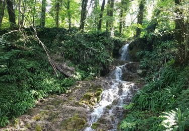 Tocht Stappen Serrières-en-Chautagne - Le sentier du Châtaigner - Photo