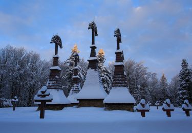 Randonnée A pied Zdynia - Regietów - Ług - Photo