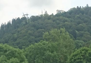 Randonnée Marche La Bourboule - Charlannes par Fohet retour sur parc fenestre par descente sous ancien funiculaire 2019-07-02 - Photo