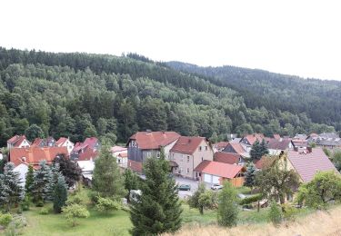 Randonnée A pied Schleusegrund - Rundwanderweg Panoramablick - Photo