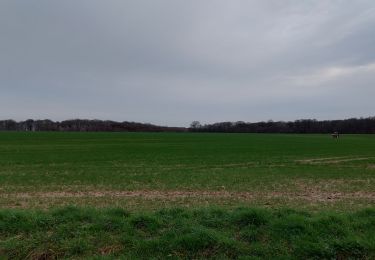 Randonnée Marche Roncherolles-sur-le-Vivier - 20240220 Roncherolles sur le VivierHS - Photo