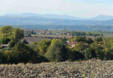 Excursión Senderismo Bansat - chez achille et rosalie - le tour de bansat - Photo