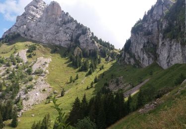 Trail Walking La Roche-sur-Foron - GLIERES / BORNES: LE CHESNET - SUR COU - COL DU FREU - Photo