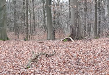Tocht Stappen Esneux - mery . beaufays . mery  - Photo