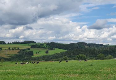 Tour Wandern Rendeux - rando marcouray 5/08/2021 - Photo