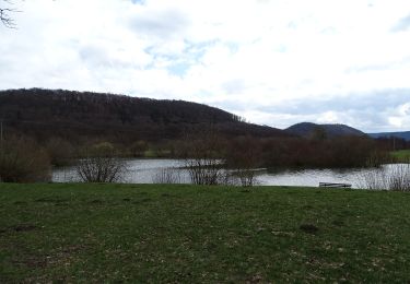 Trail On foot Dietfurt an der Altmühl - QiGong-Weg - Photo