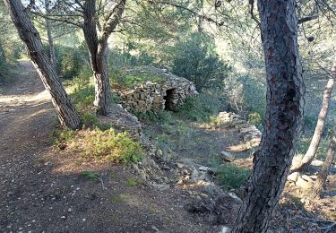 Tour Wandern Bize-Minervois - balade à Bize Minervois - Photo