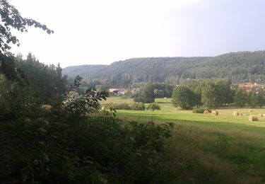 Tour Zu Fuß Karłów - Ścieżka Skalnej Rzeźby - Photo