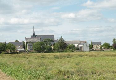 Percorso A piedi Lavau-sur-Loire - Sentier du Syl au Trou Bleu - Photo