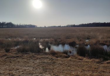 Tour Wandern Emmen - Bargerveen - Photo