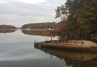 Trail Walking Pluneret - PR_56_Pluneret_AA_01_Les-Deux-Rivieres_Circuit4a_20191124 - Photo
