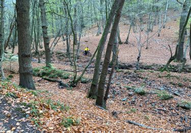 Tour Wandern Seraing - Val Saint Lambert 28 km - Photo