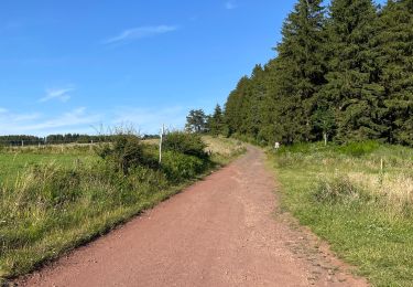 Excursión sport Saint-Genès-Champanelle - Promenade à côté Puy de Dôme - Photo