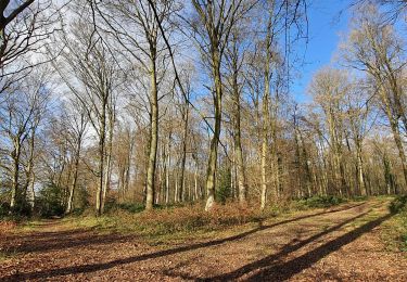 Tour Wandern Martagny - Martagny, forêt domaniale de Lyons et le monument de la Rougemare - Photo