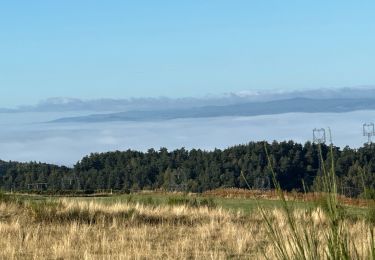 Randonnée sport Chanaleilles - Étape quatre Aumont Aubrac,  - Photo