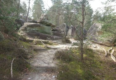 Trail Walking Noisy-sur-École - noisy sur École  - Photo