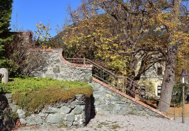 Tour Zu Fuß Gemeinde Payerbach - Weg PA 6 - Photo