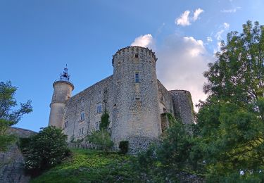 Trail Walking Lussan - de Lussan aux Concluses - Photo