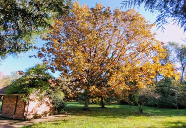 Percorso Marcia Bouray-sur-Juine - Boucle autour de Bouray/ Juine et Chamarande - Photo