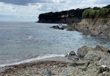 Tocht Stappen Saint-Nic - Pentrez chapelle de langelitte  - Photo